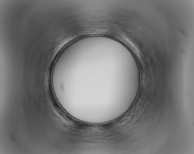 X0000111350107200907100943