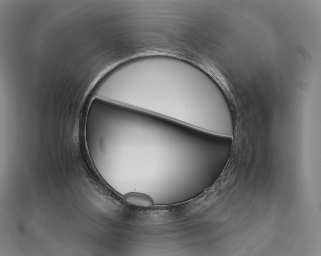 X0000111350108200907100943