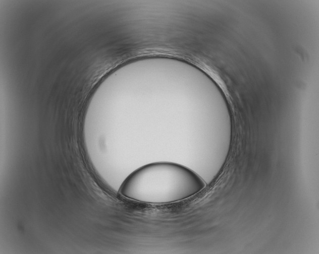 X0000111350109200907100943