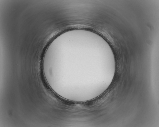X0000111350111200907100943