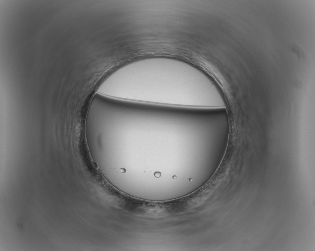 X0000111350113200907100943
