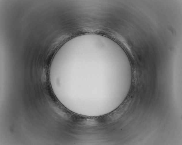 X0000111350114200907100943
