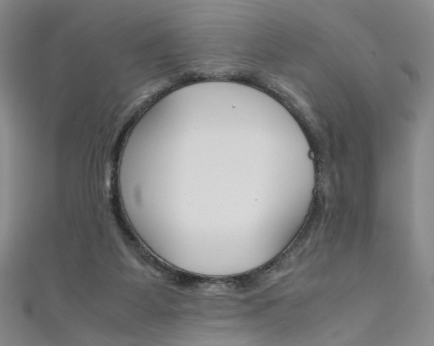 X0000111350115200907100943
