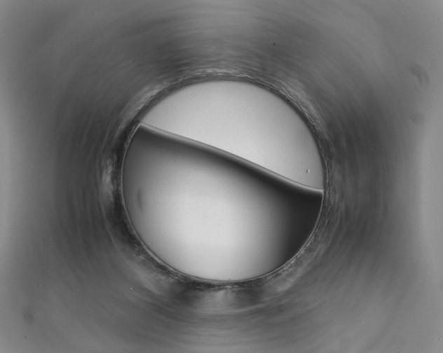 X0000111350116200907100943