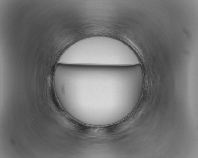 X0000111350117200907100943