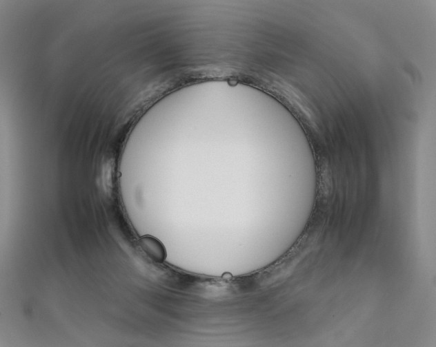 X0000111350118200907100943