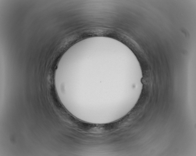 X0000111350119200907100943
