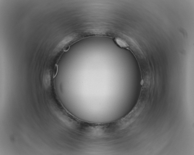 X0000111350120200907100943