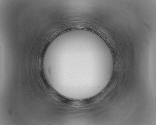X0000111350121200907100943
