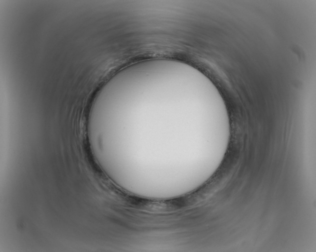 X0000111350123200907100943