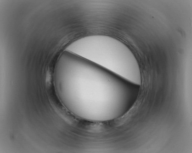 X0000111350124200907100943