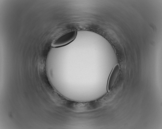 X0000111350129200907100943