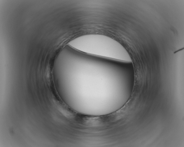 X0000111350132200907100943