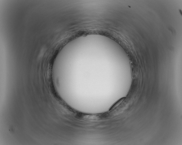X0000111350133200907100943