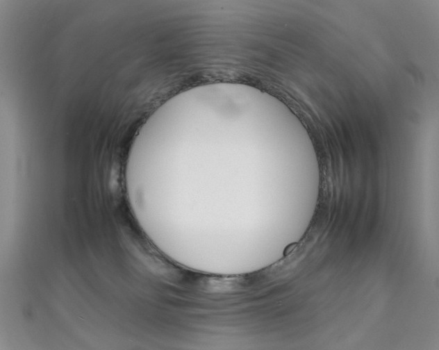 X0000111350134200907100943
