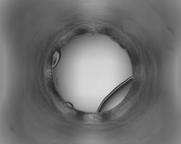 X0000111350137200907100943