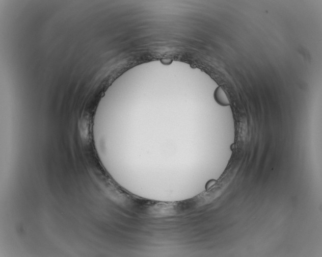 X0000111350138200907100943
