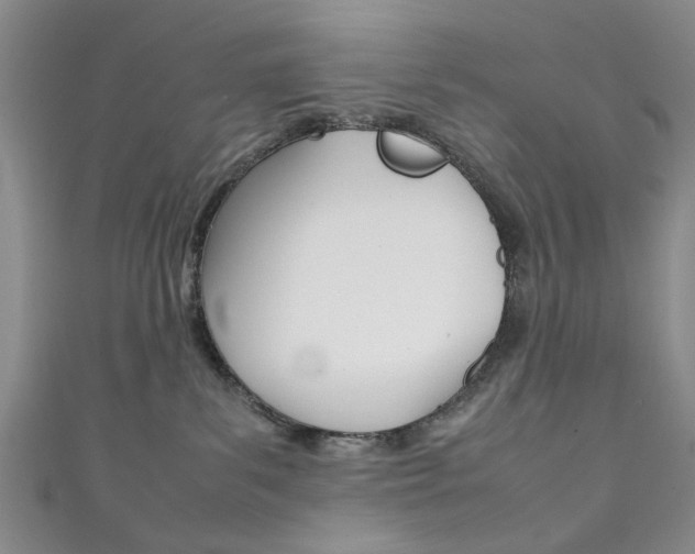 X0000111350139200907100943