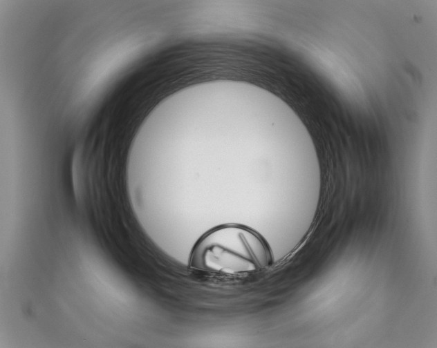 X0000111350140200907100943