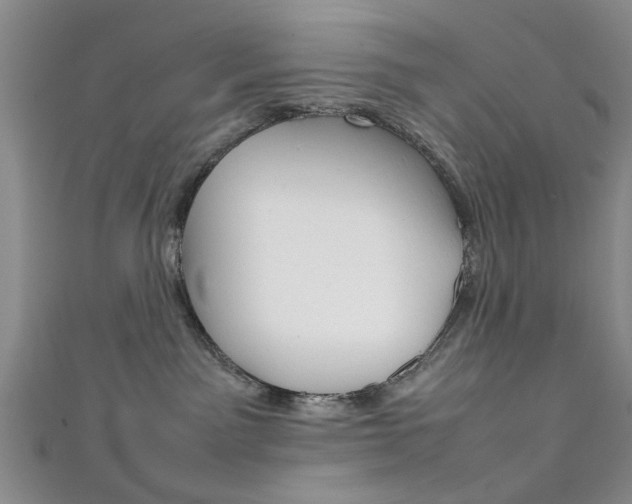 X0000111350141200907100943