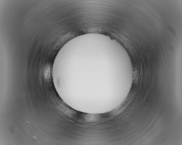 X0000111350142200907100943