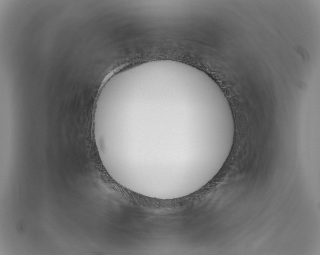 X0000111350144200907100942