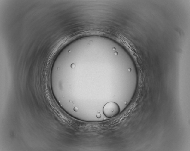 X0000111350145200907100942