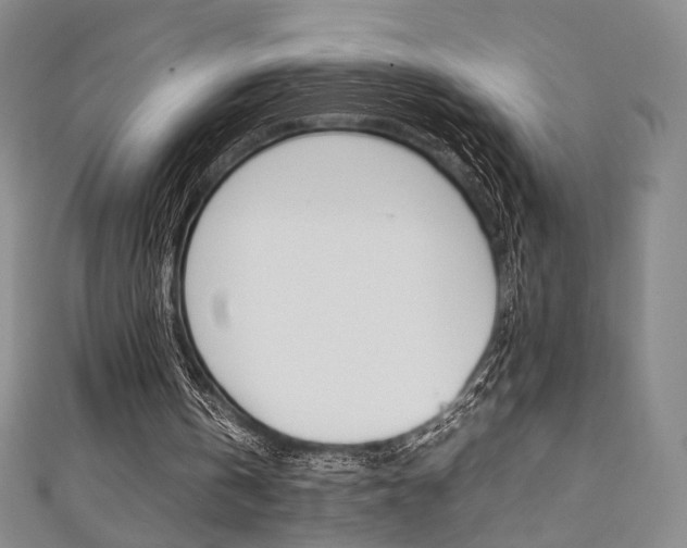 X0000111350146200907100942