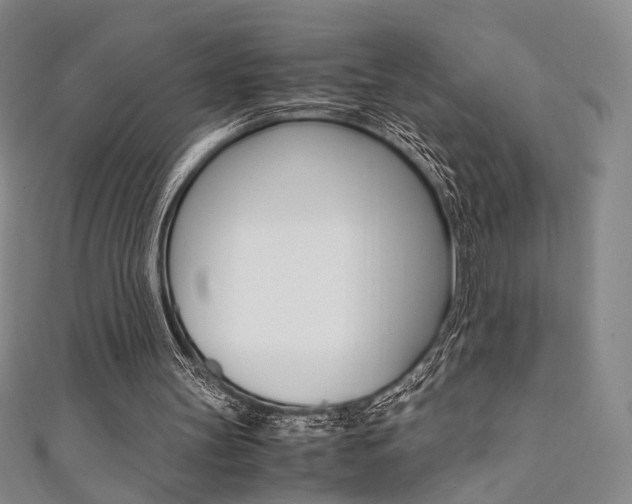X0000111350147200907100942