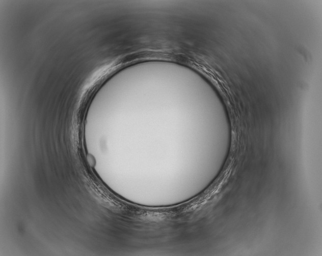 X0000111350149200907100942