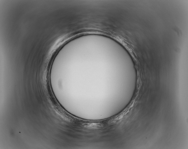 X0000111350151200907100942