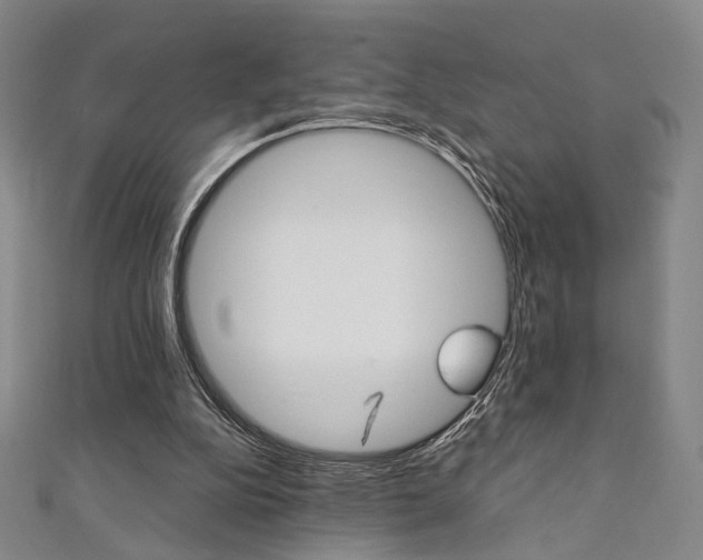 X0000111350152200907100942