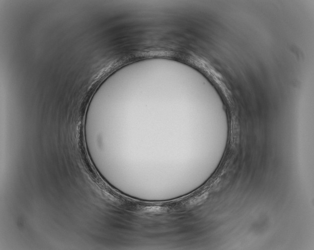 X0000111350153200907100942