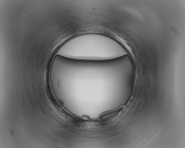 X0000111350154200907100942