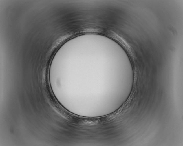 X0000111350155200907100942