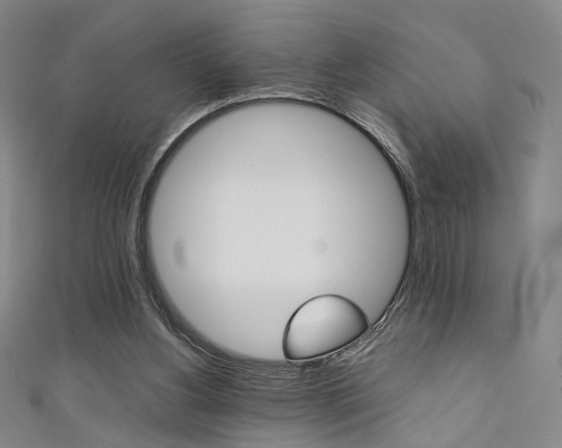 X0000111350156200907100942