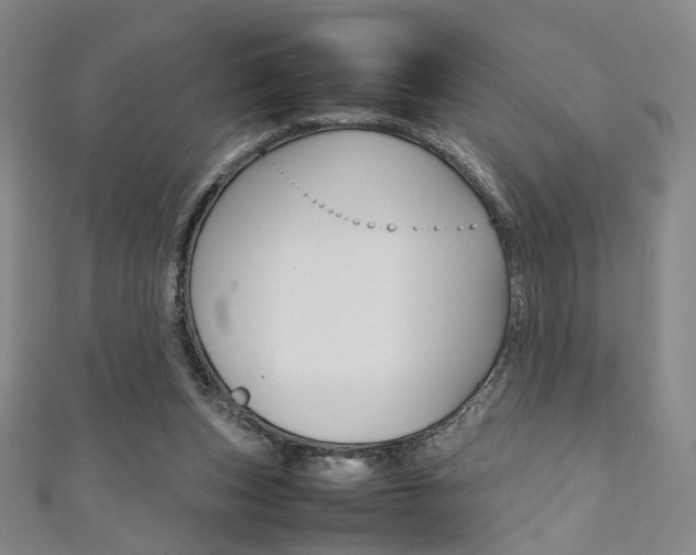X0000111350159200907100942