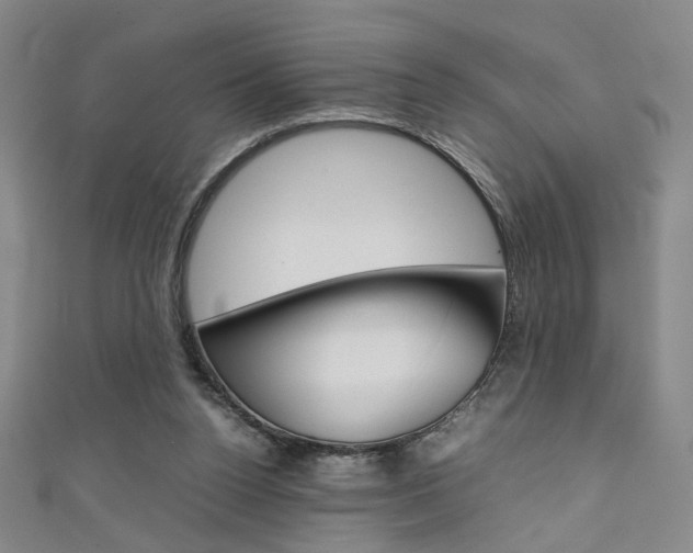 X0000111350160200907100942