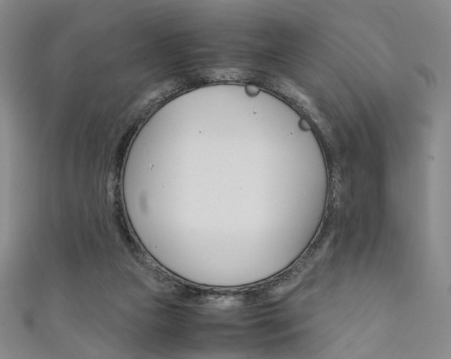 X0000111350161200907100942