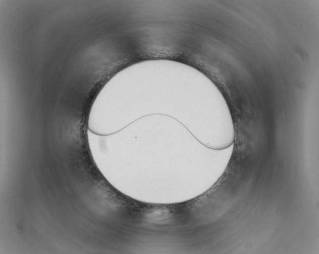 X0000111350162200907100942