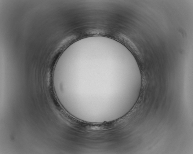 X0000111350163200907100942