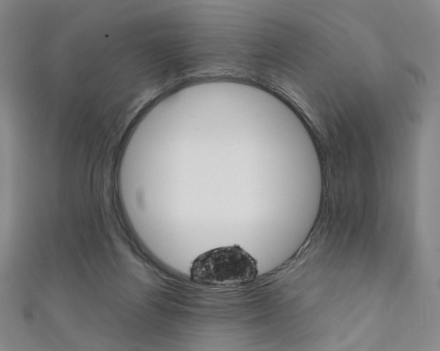 X0000111350164200907100942