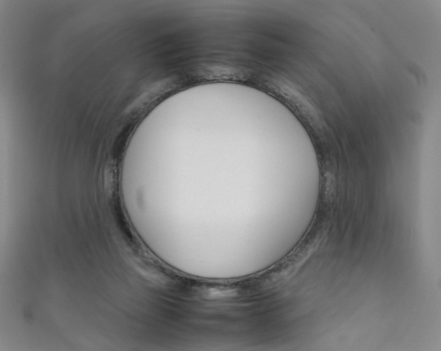 X0000111350165200907100942
