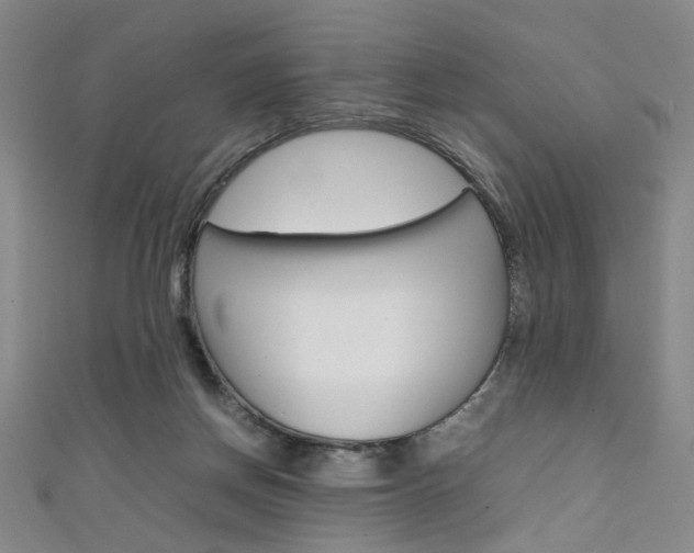 X0000111350166200907100942