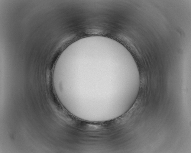 X0000111350167200907100942