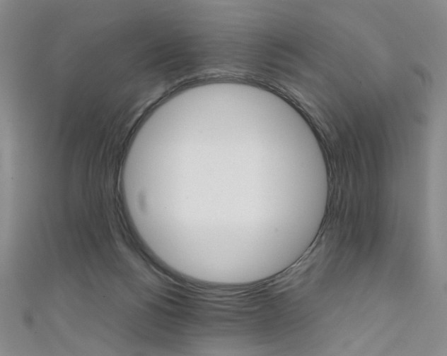X0000111350168200907100942