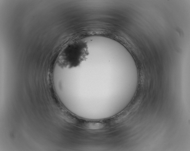 X0000111350169200907100942