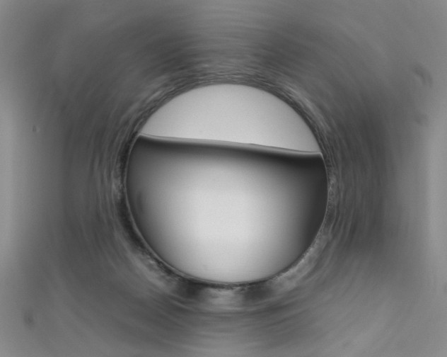 X0000111350170200907100942