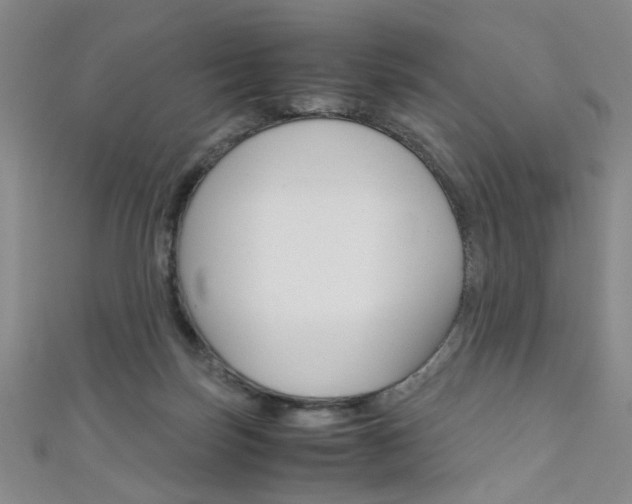 X0000111350171200907100942