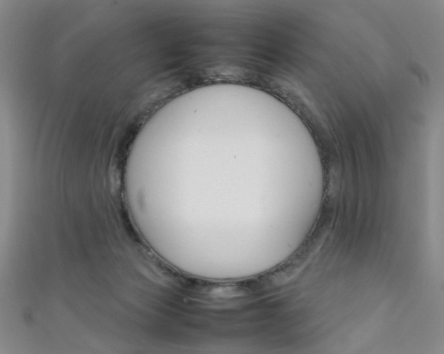 X0000111350173200907100942